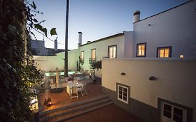 Casa Da Palmeira